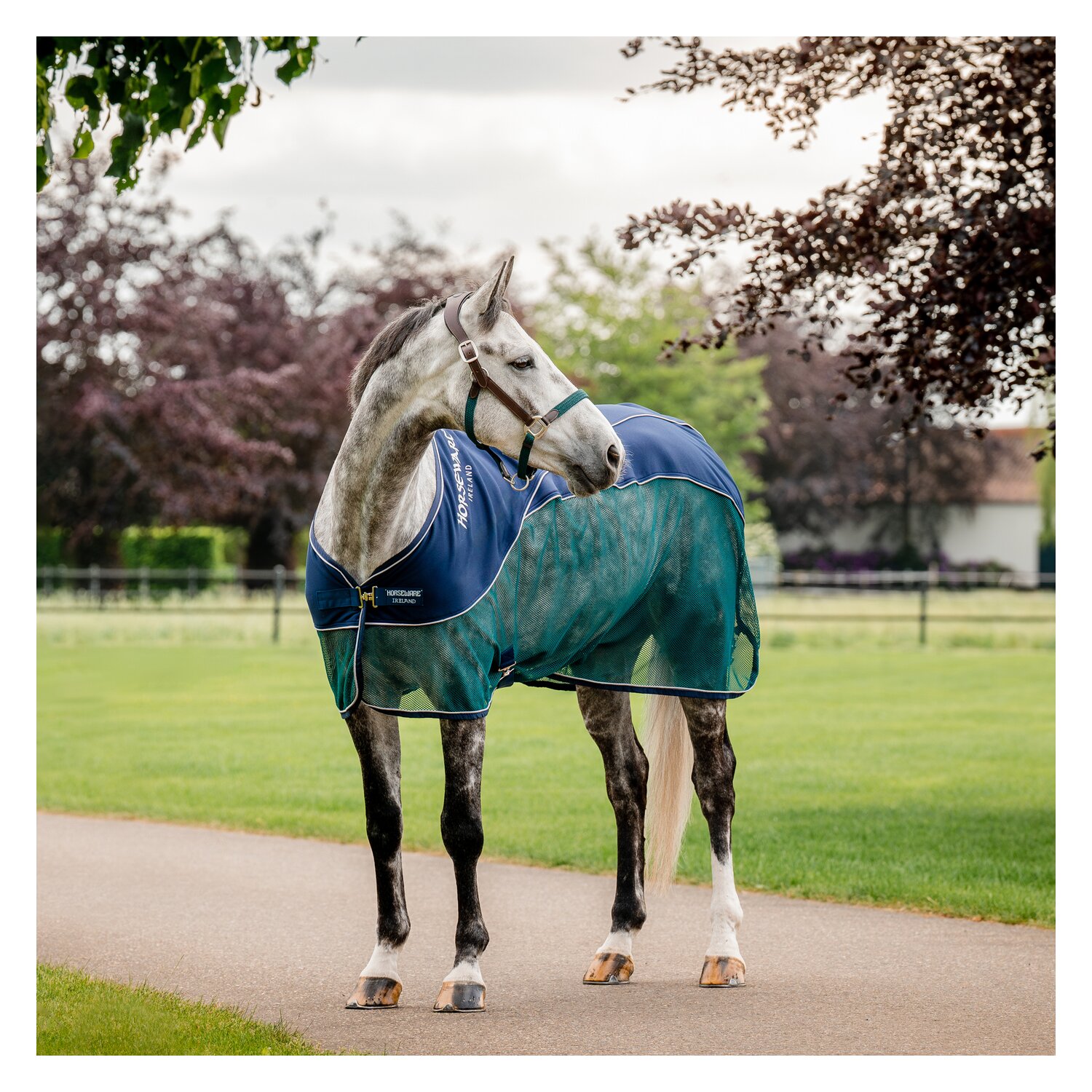 HORSEWARE Signature Hybrid-Abschwitzdecke Sport Cooler – Ansicht 2