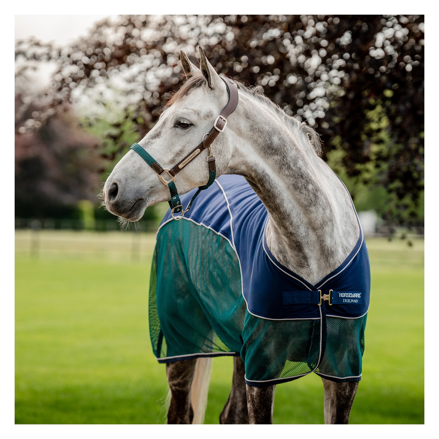 HORSEWARE Signature Hybrid-Abschwitzdecke Sport Cooler – Ansicht 3