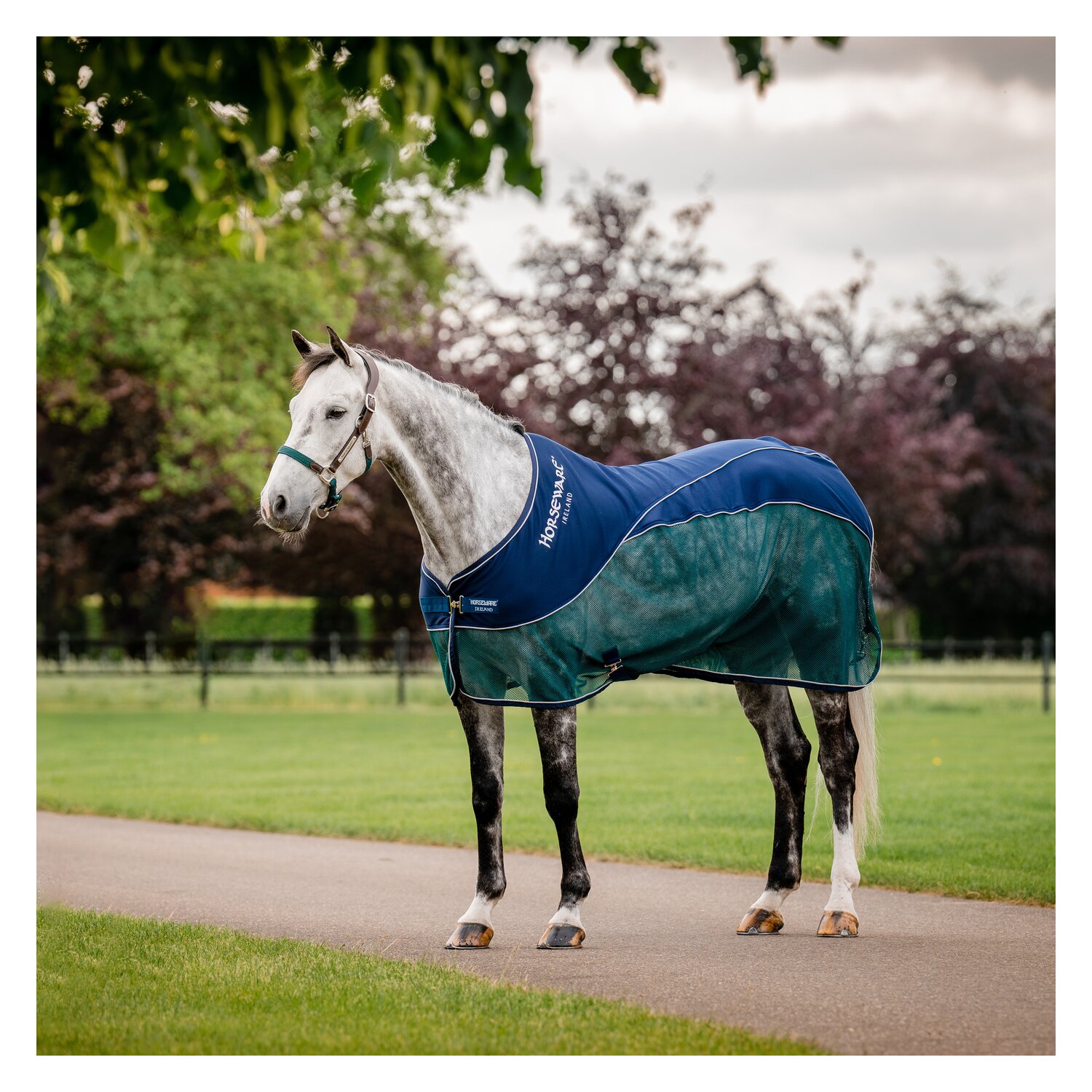 HORSEWARE Signature Hybrid-Abschwitzdecke Sport Cooler – Ansicht 1