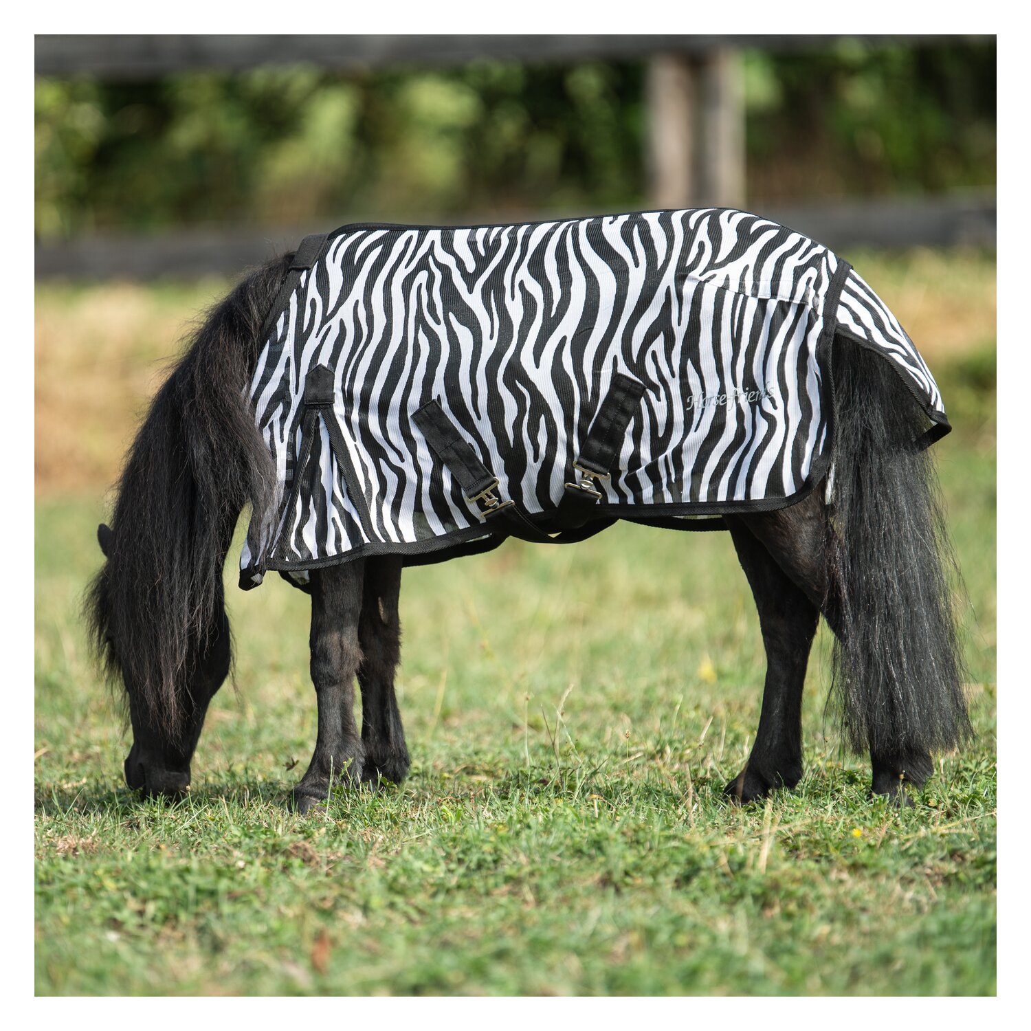 Horse-friends Fliegendecke für Shetty und Pony – Ansicht 2