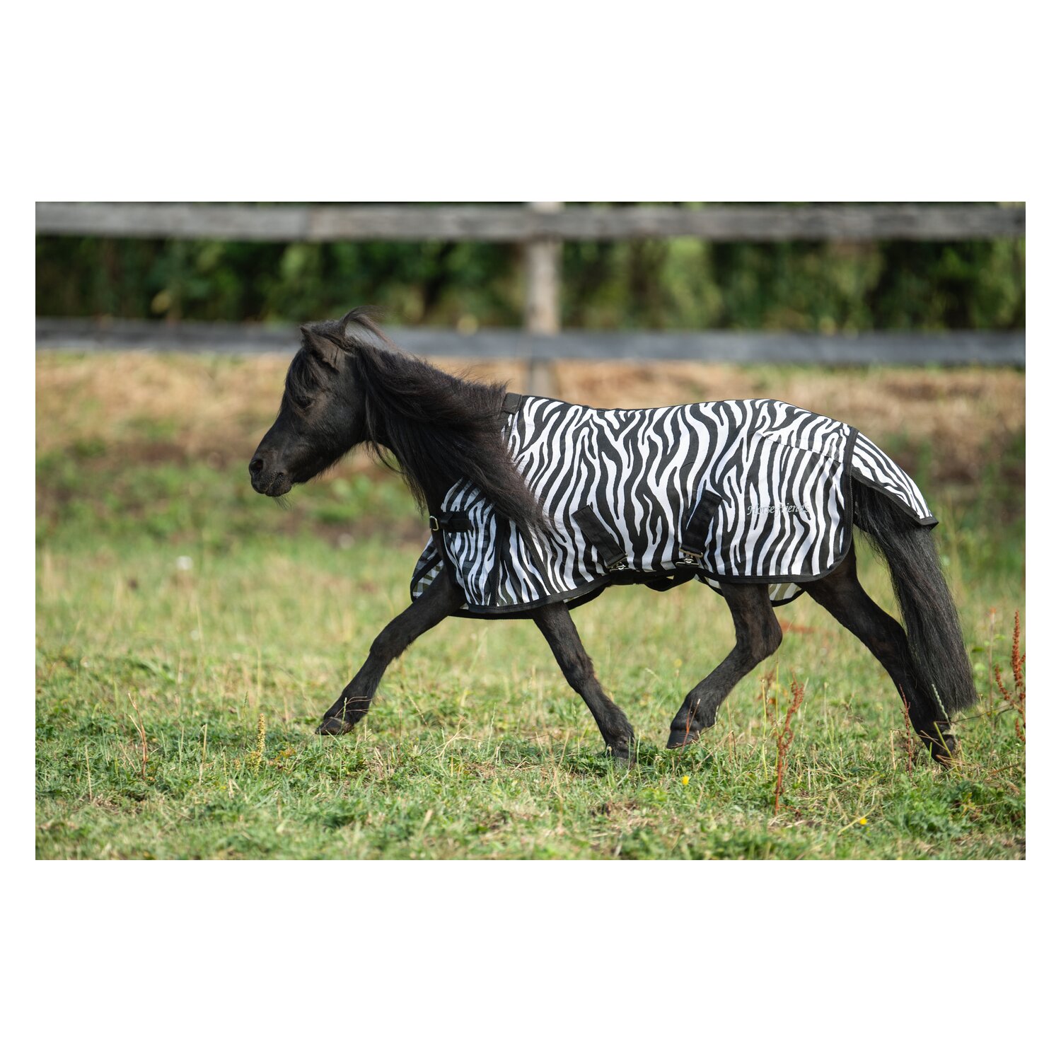 Horse-friends Fliegendecke für Shetty und Pony – Ansicht 3