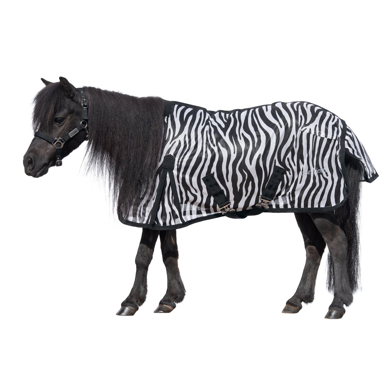Horse-friends Fliegendecke für Shetty und Pony – Ansicht 1
