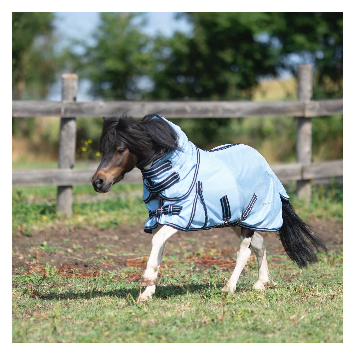 Horse-friends Fliegendecke mit Halsteil für Minishetty und Shetty. – Ansicht 2