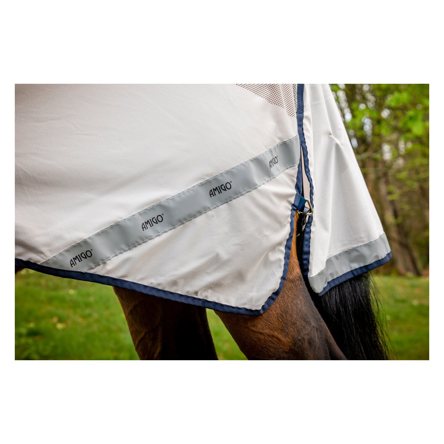 HORSEWARE Fliegenausreitdecke AMIGO Flyrider – Ansicht 4