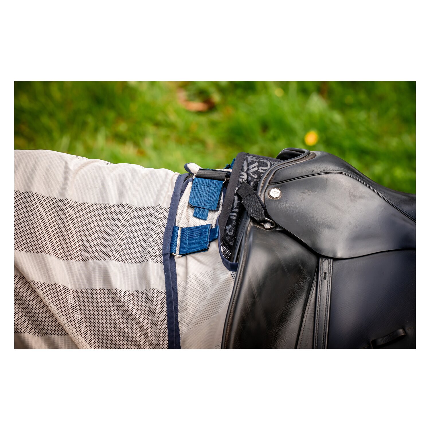 HORSEWARE Fliegenausreitdecke AMIGO Flyrider – Ansicht 8