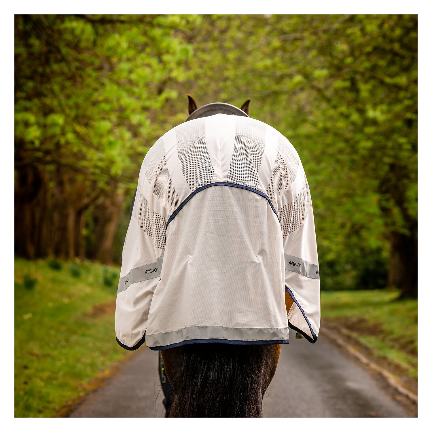 HORSEWARE Fliegenausreitdecke AMIGO Flyrider – Ansicht 9