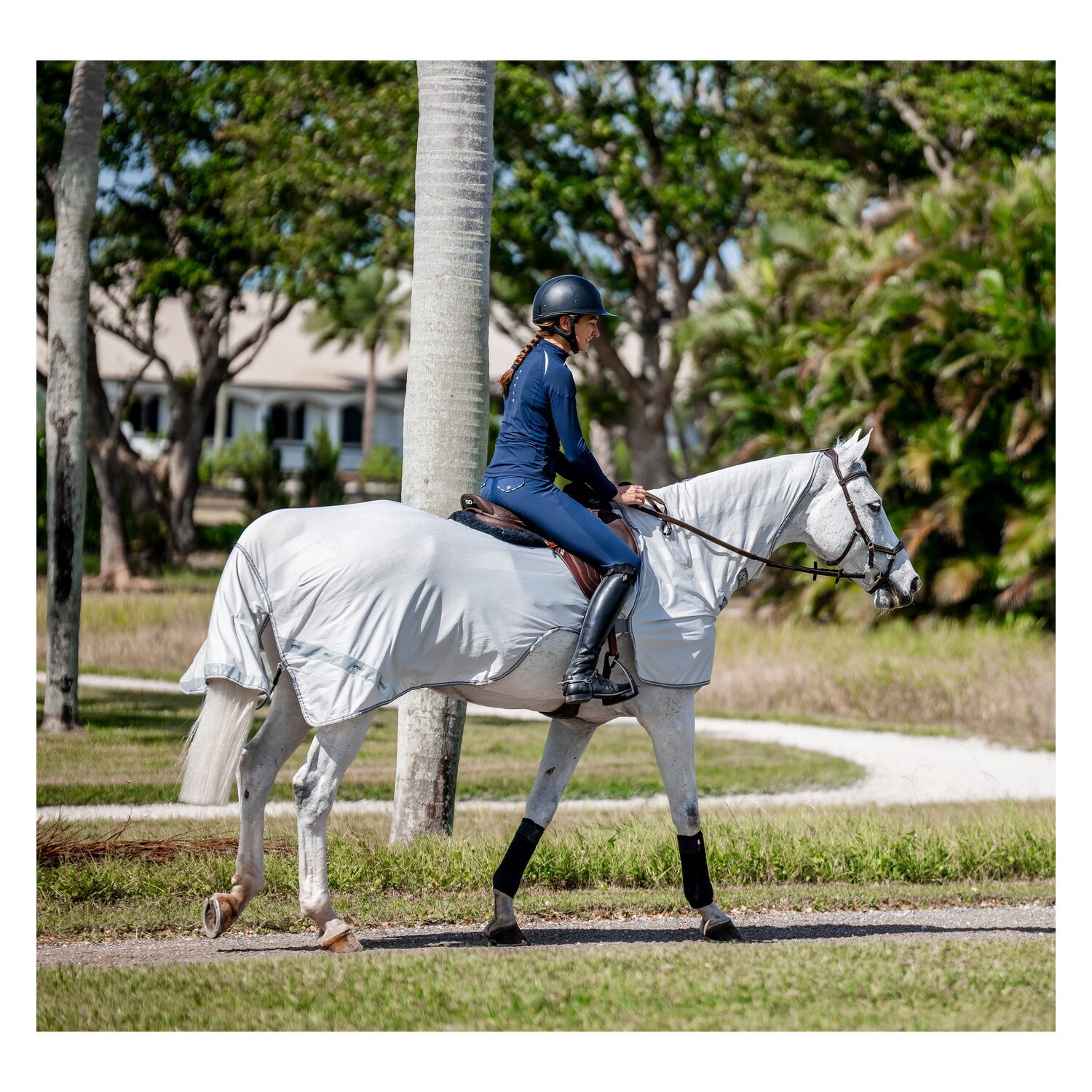 HORSEWARE Fliegenausreitdecke AMIGO Flyrider &ndash; Ansicht 2