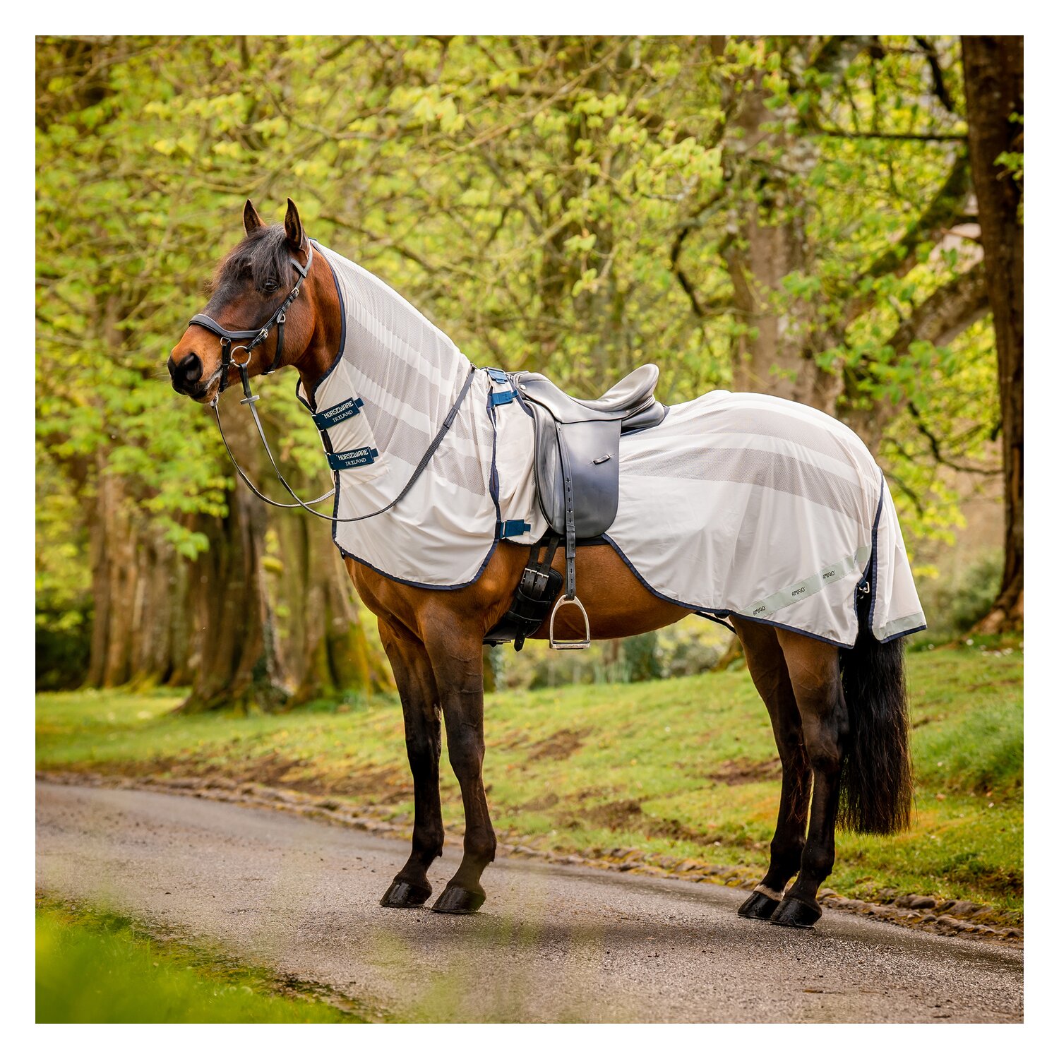HORSEWARE Fliegenausreitdecke AMIGO Flyrider – Ansicht 1