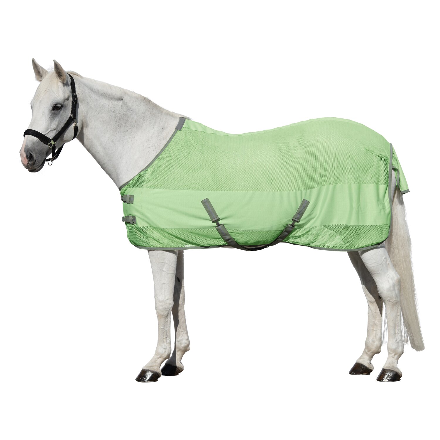 Horse-friends Fliegendecke Sintra – Ansicht 2