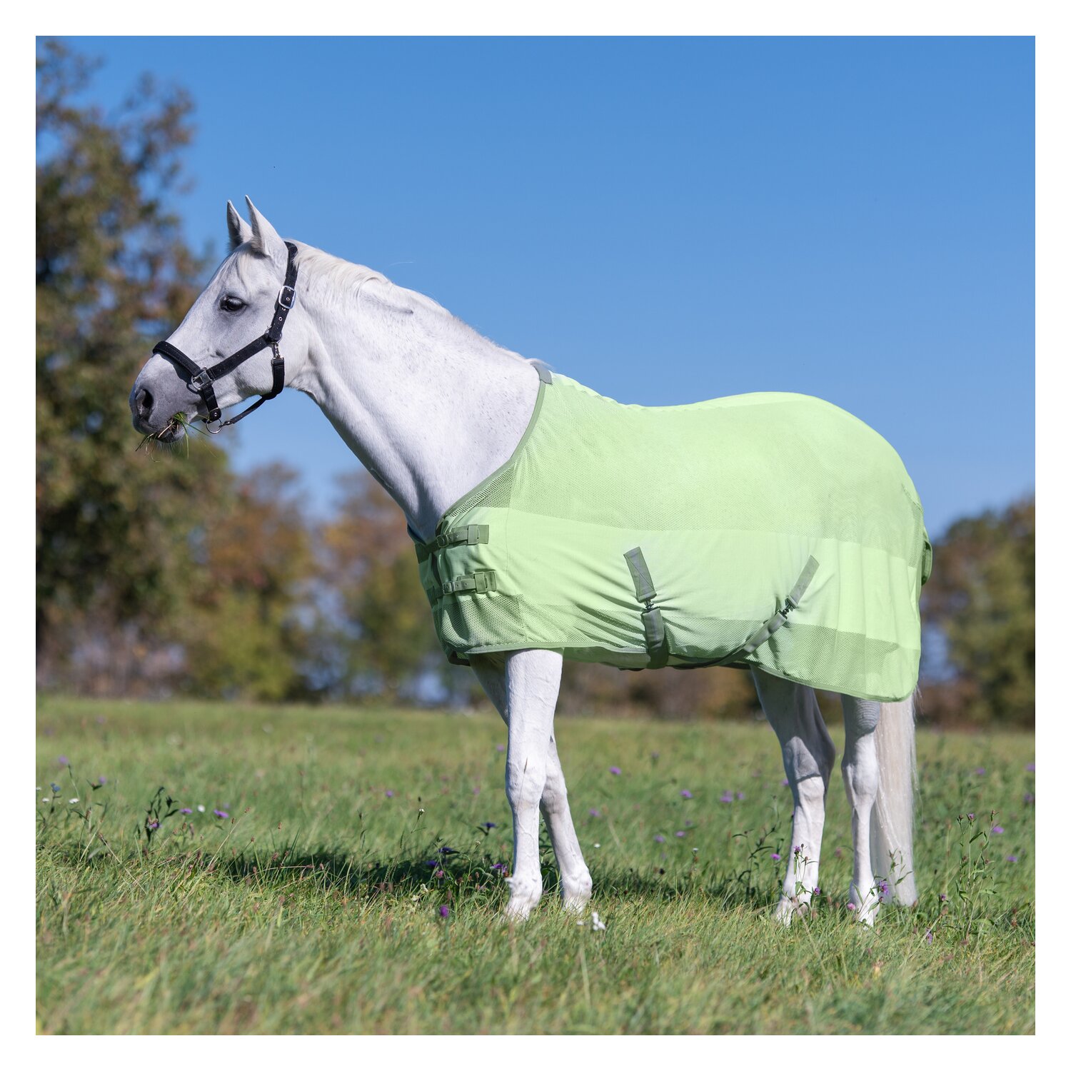 Horse-friends Fliegendecke Sintra – Ansicht 3