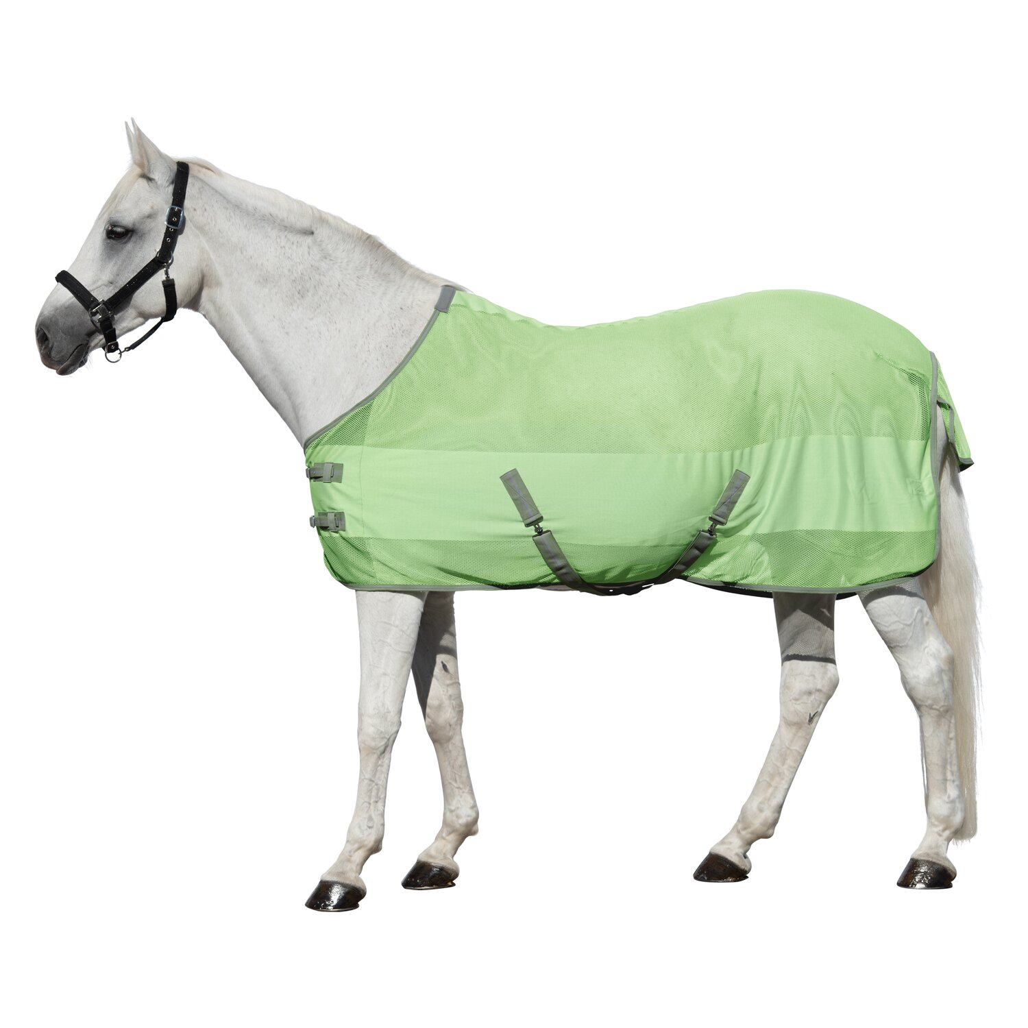 Horse-friends Fliegendecke Sintra – Ansicht 1