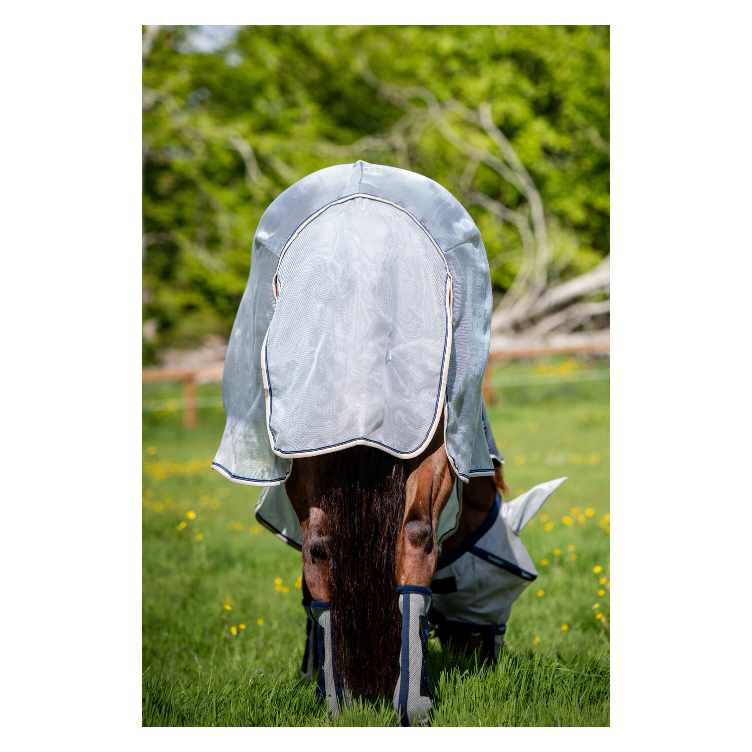 HORSEWARE Fliegendecke Rambo Protector Plus – Ansicht 4