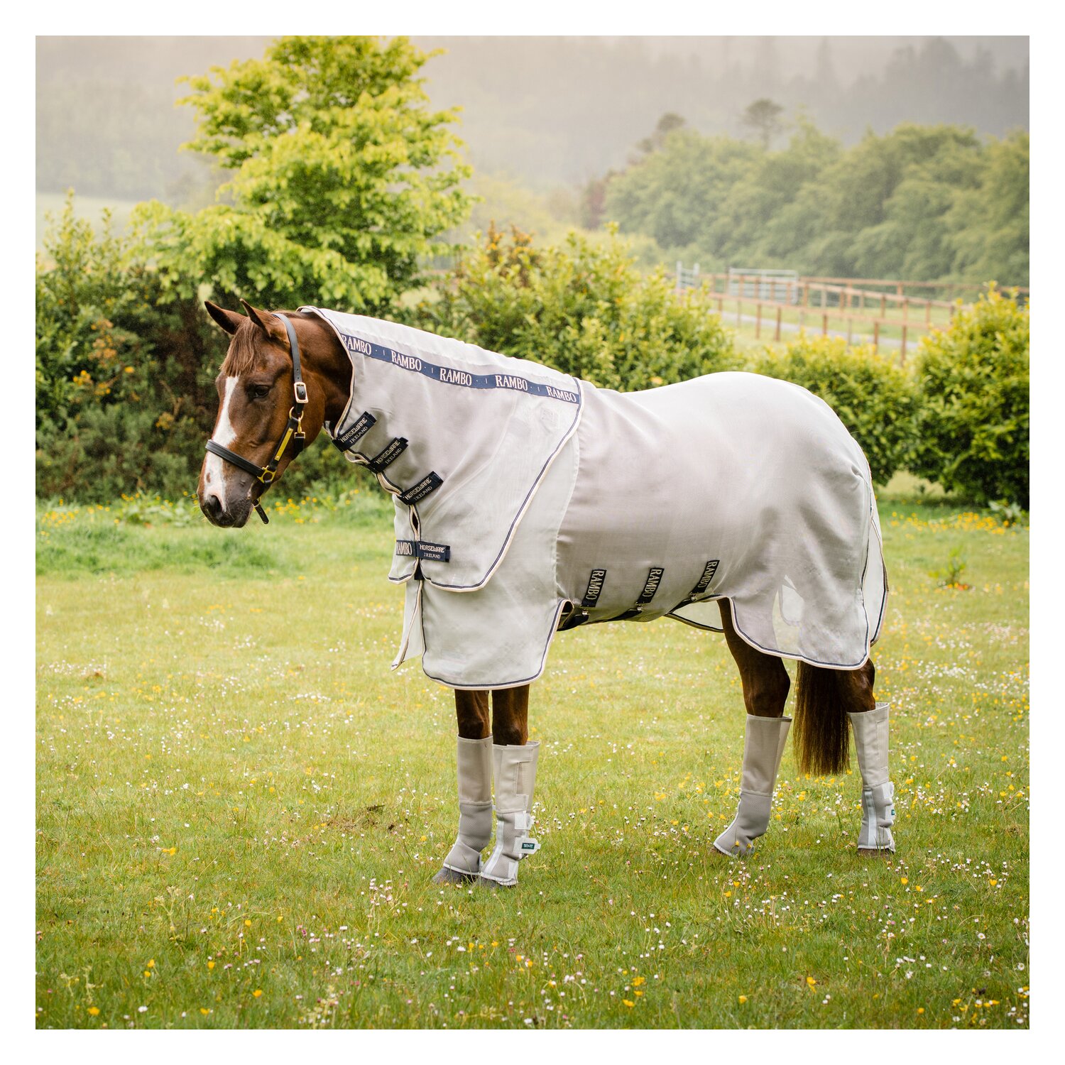 HORSEWARE Fliegendecke Rambo Protector Plus – Ansicht 1