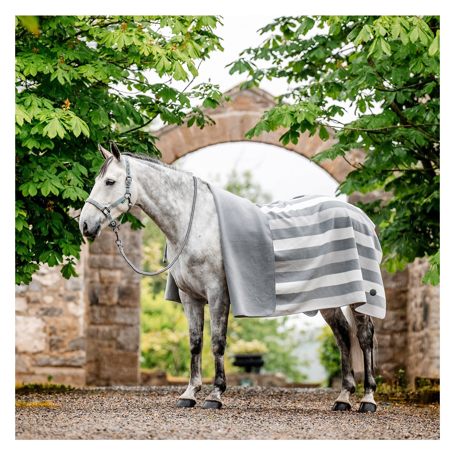 HORSEWARE Fleecedecke Newmarket Fleece – Ansicht 1
