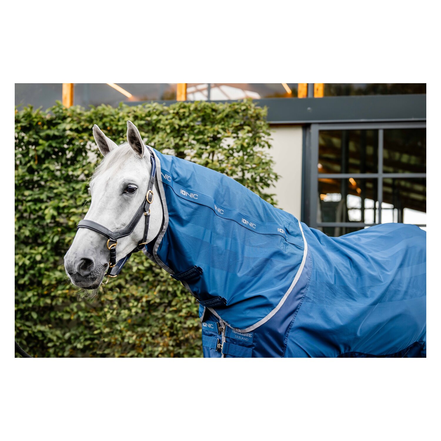 HORSEWARE Ionic Therapy Mesh Cooler – Ansicht 2