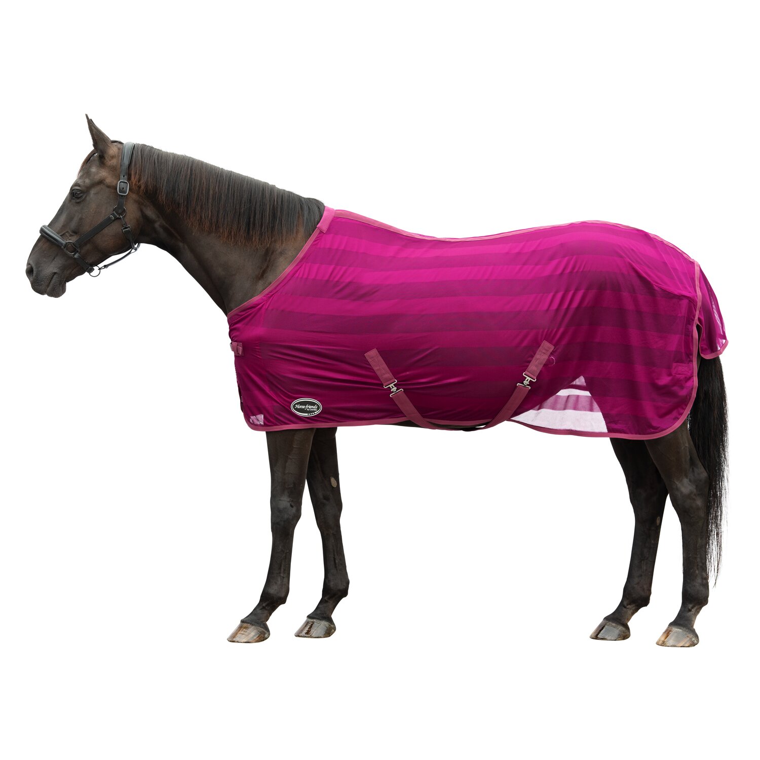 Horse-friends Fliegendecke Basic – Ansicht 1