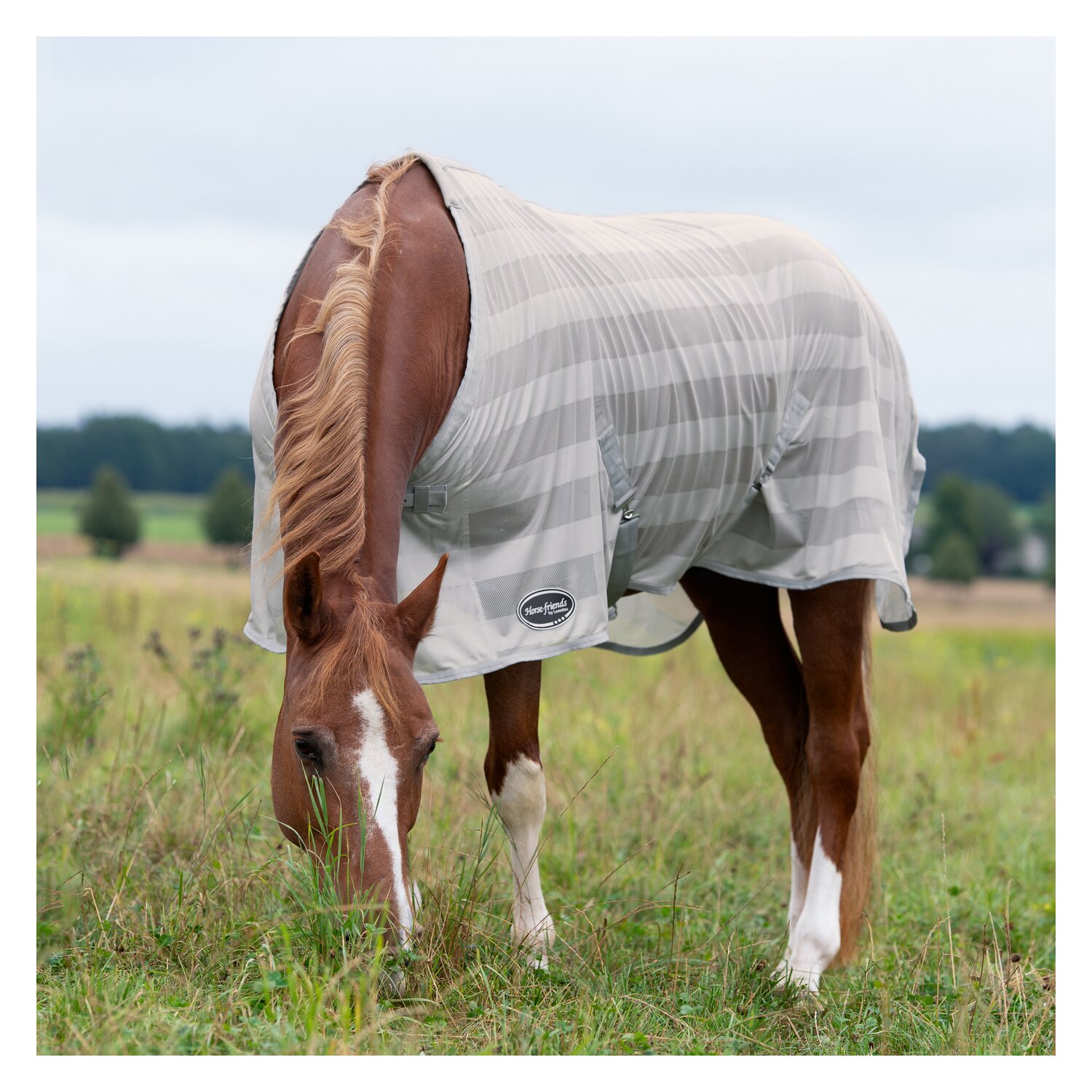 Horse-friends Fliegendecke Basic – Ansicht 2