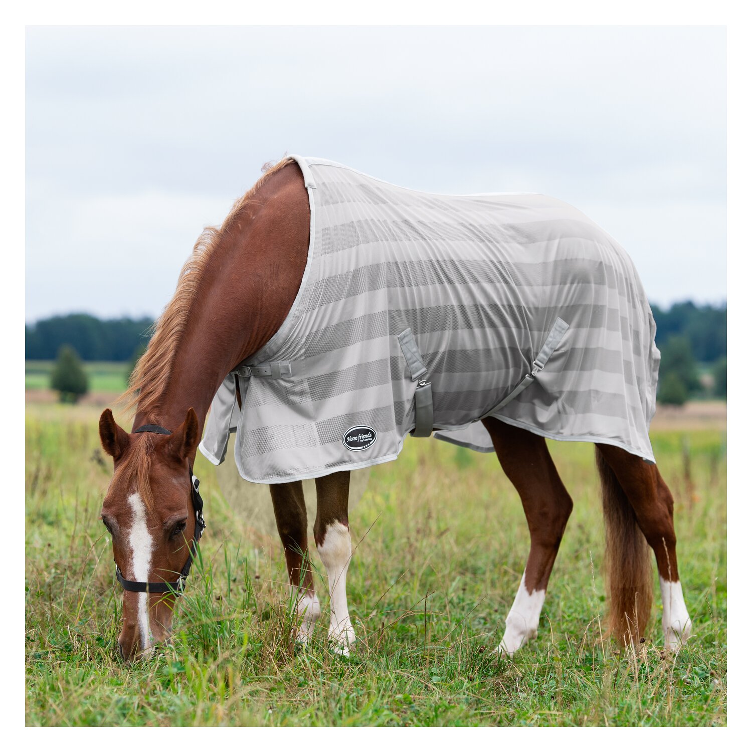 Horse-friends Fliegendecke Basic &ndash; Ansicht 2