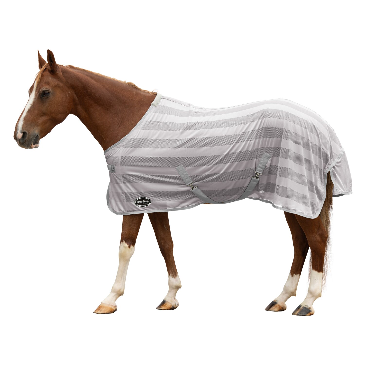 Horse-friends Fliegendecke Basic – Ansicht 1
