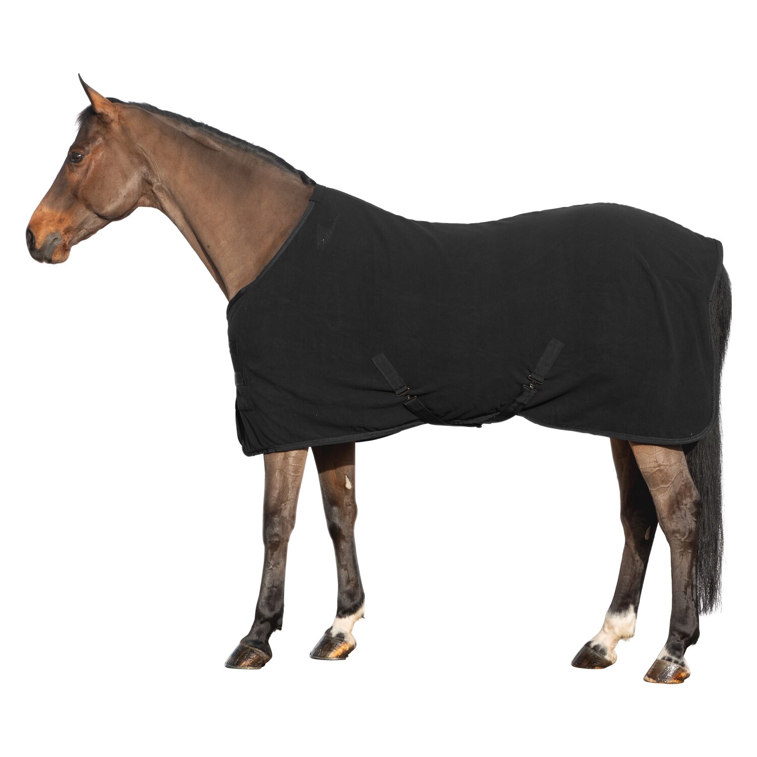 RIDE now Abschwitzdecke – Ansicht 1