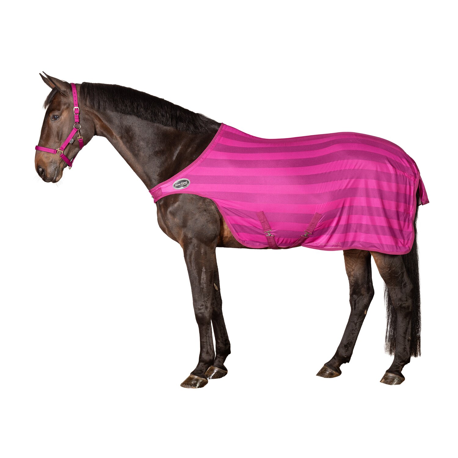Horse-friends Fliegendecke Walker Basic &ndash; Ansicht 1
