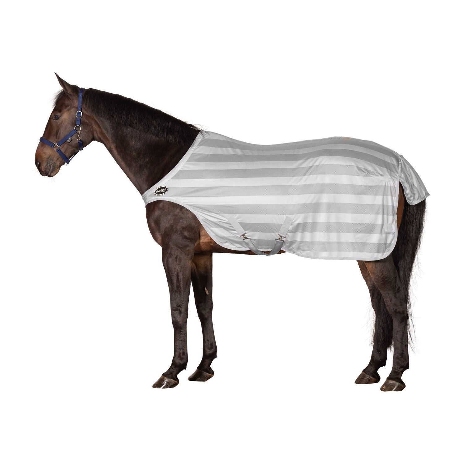 Horse-friends Fliegendecke Walker Basic &ndash; Ansicht 1