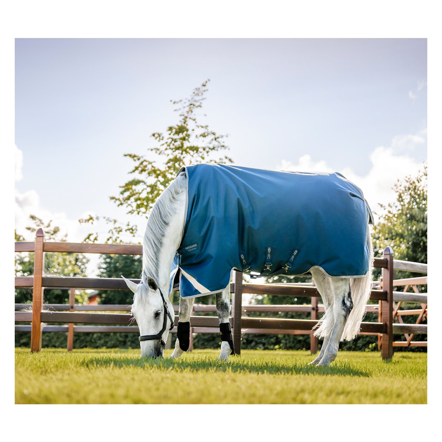 HORSEWARE Outdoordecke Ionic Therapy Turnout 100g – Ansicht 2