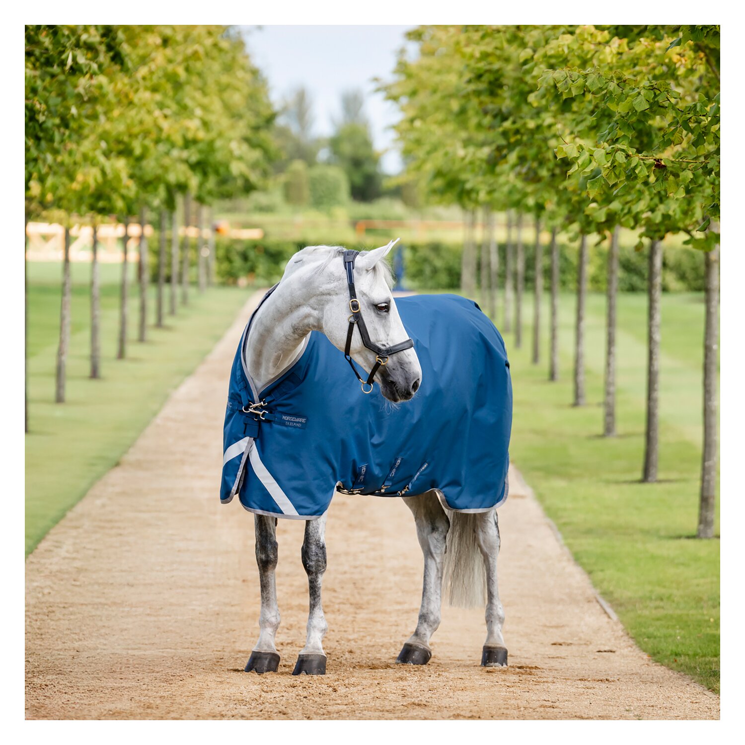 HORSEWARE Outdoordecke Ionic Therapy Turnout 100g – Ansicht 3