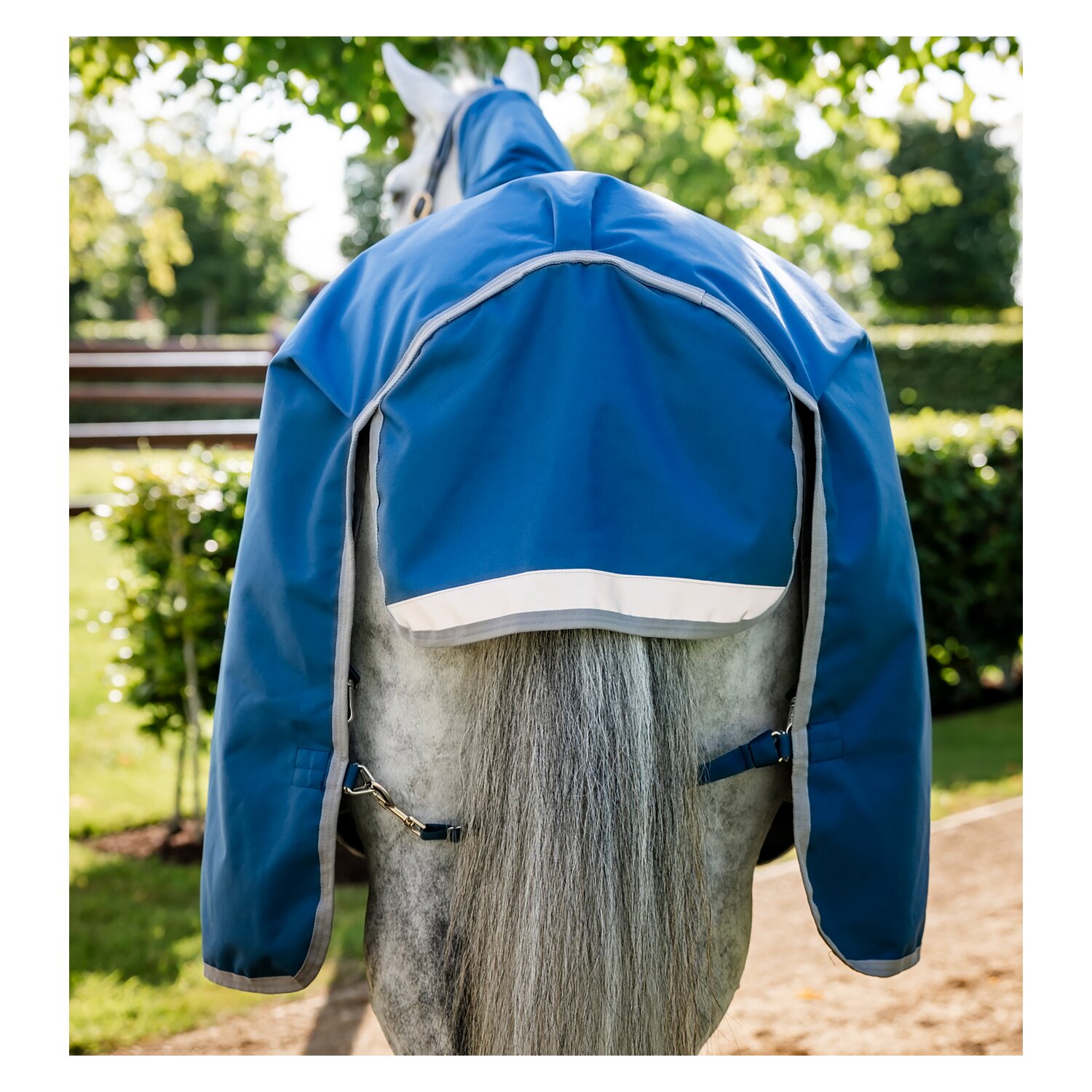 HORSEWARE Outdoordecke Ionic Therapy Turnout 100g – Ansicht 4