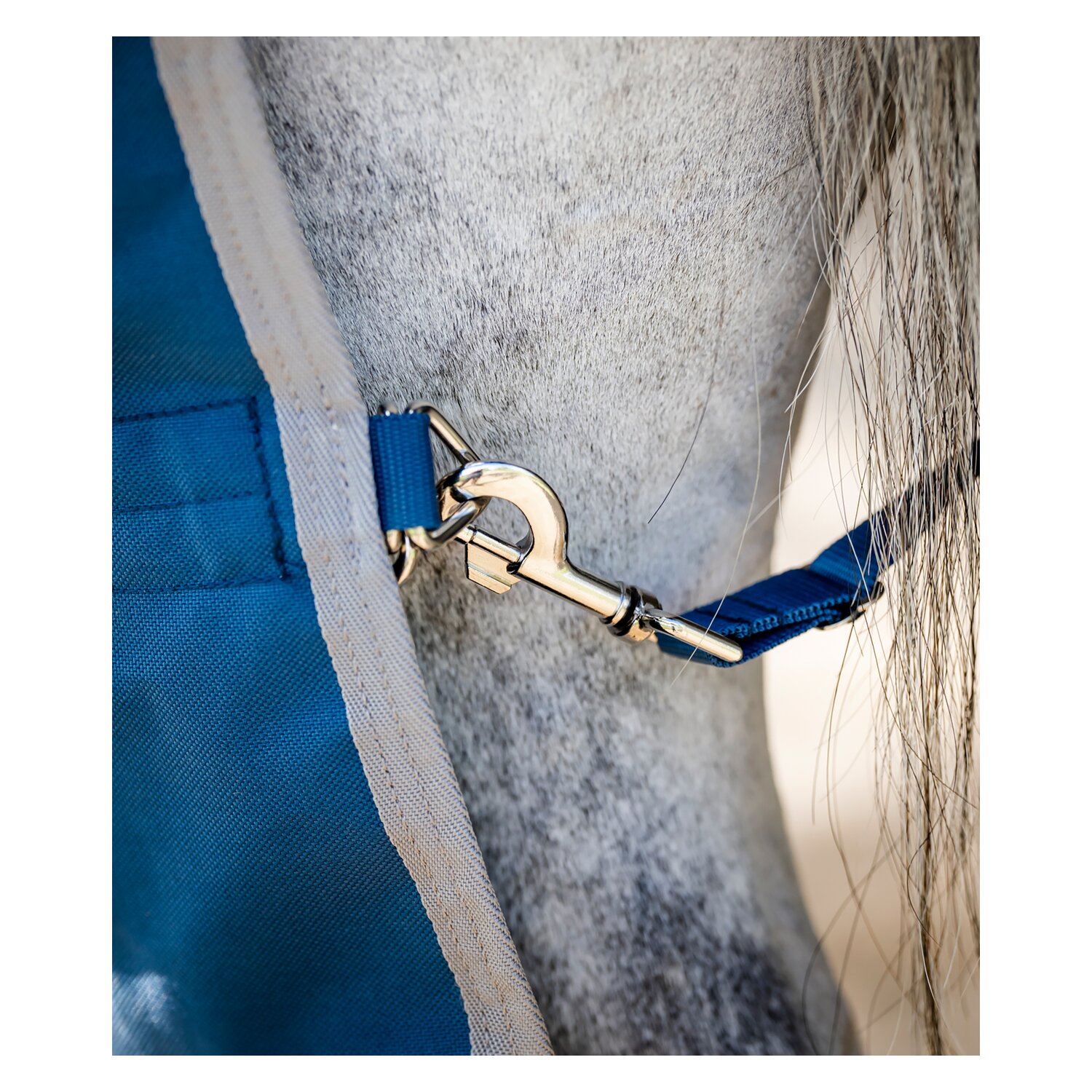 HORSEWARE Outdoordecke Ionic Therapy Turnout 100g – Ansicht 6