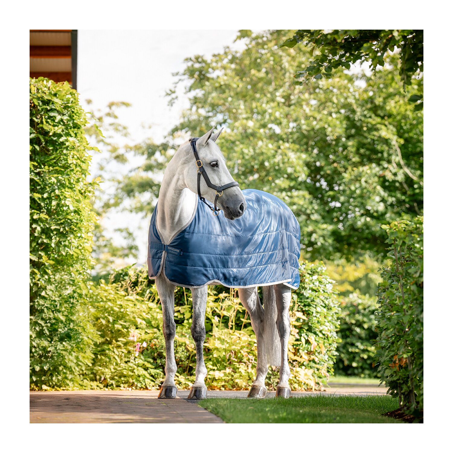 HORSEWARE Unterdecke Ionic Therapy Liner 50g – Ansicht 2