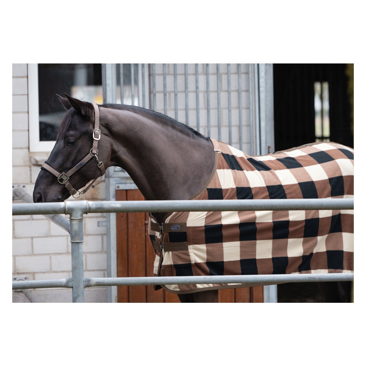 Horse-friends Abschwitzdecke Sheffield – Ansicht 2