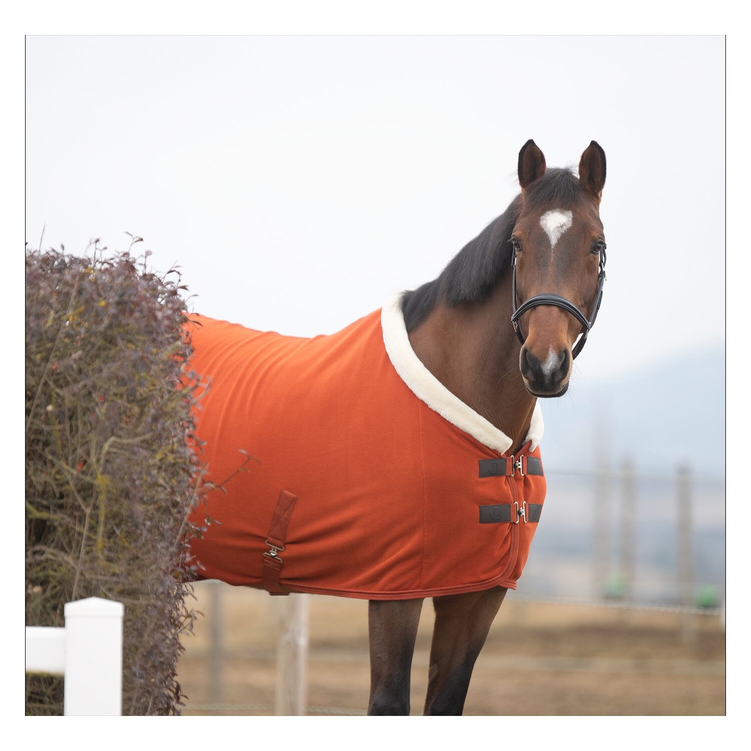 Cheval de Luxe Abschwitzdecke La Rochelle &ndash; Ansicht 2