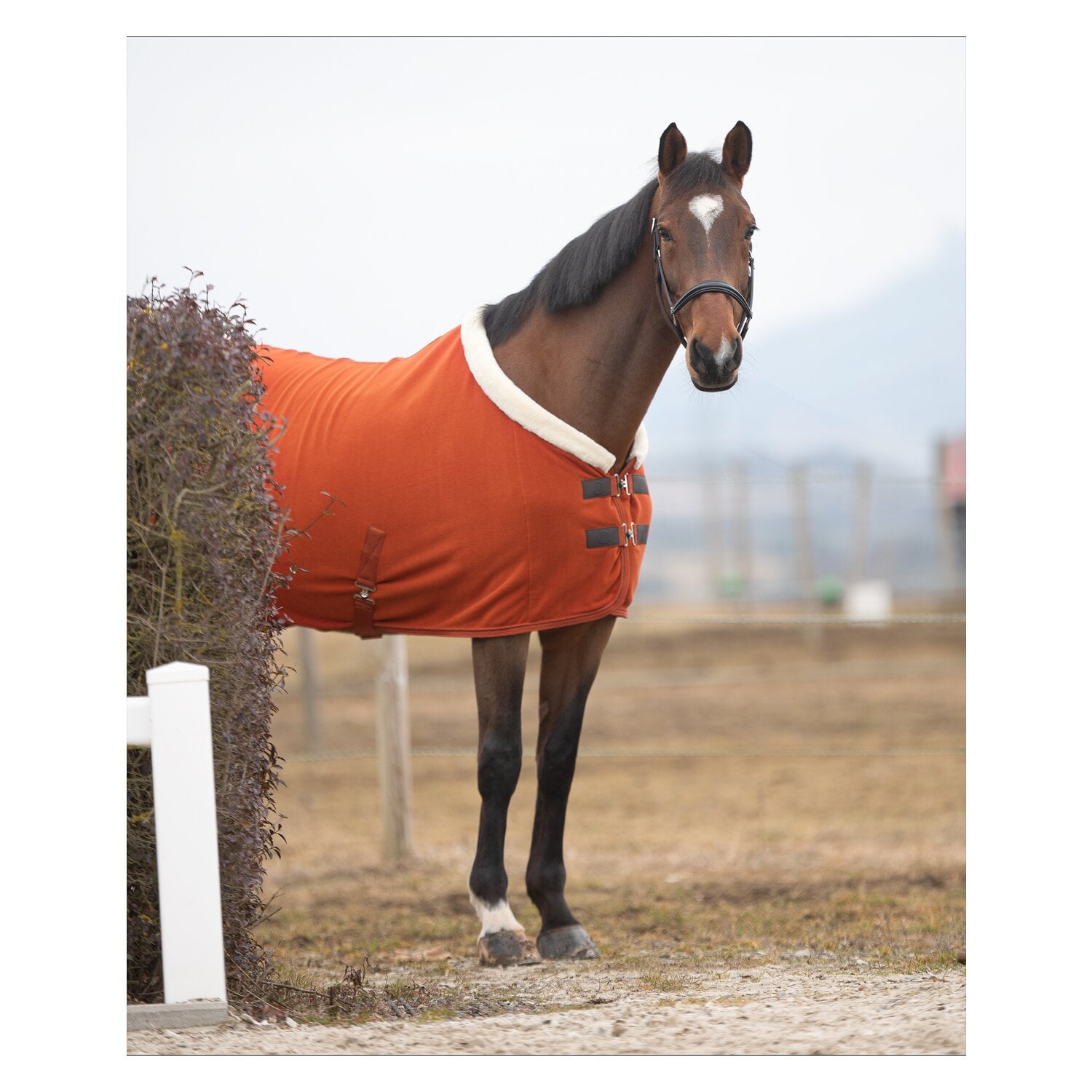 Cheval de Luxe Abschwitzdecke La Rochelle &ndash; Ansicht 3