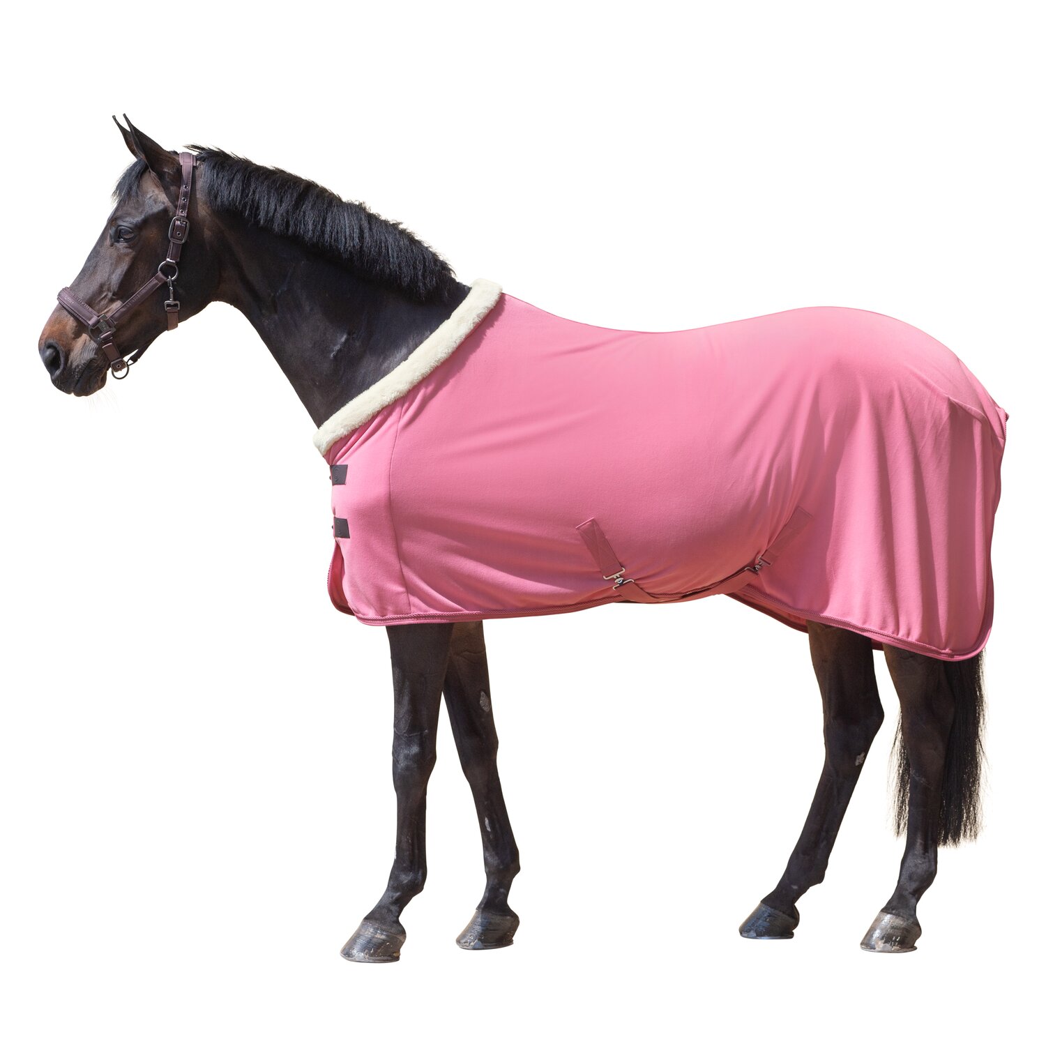 Cheval de Luxe Abschwitzdecke La Rochelle – Ansicht 1