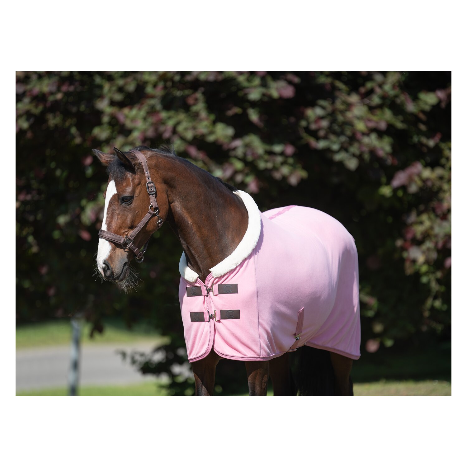 Cheval de Luxe Abschwitzdecke La Rochelle – Ansicht 2