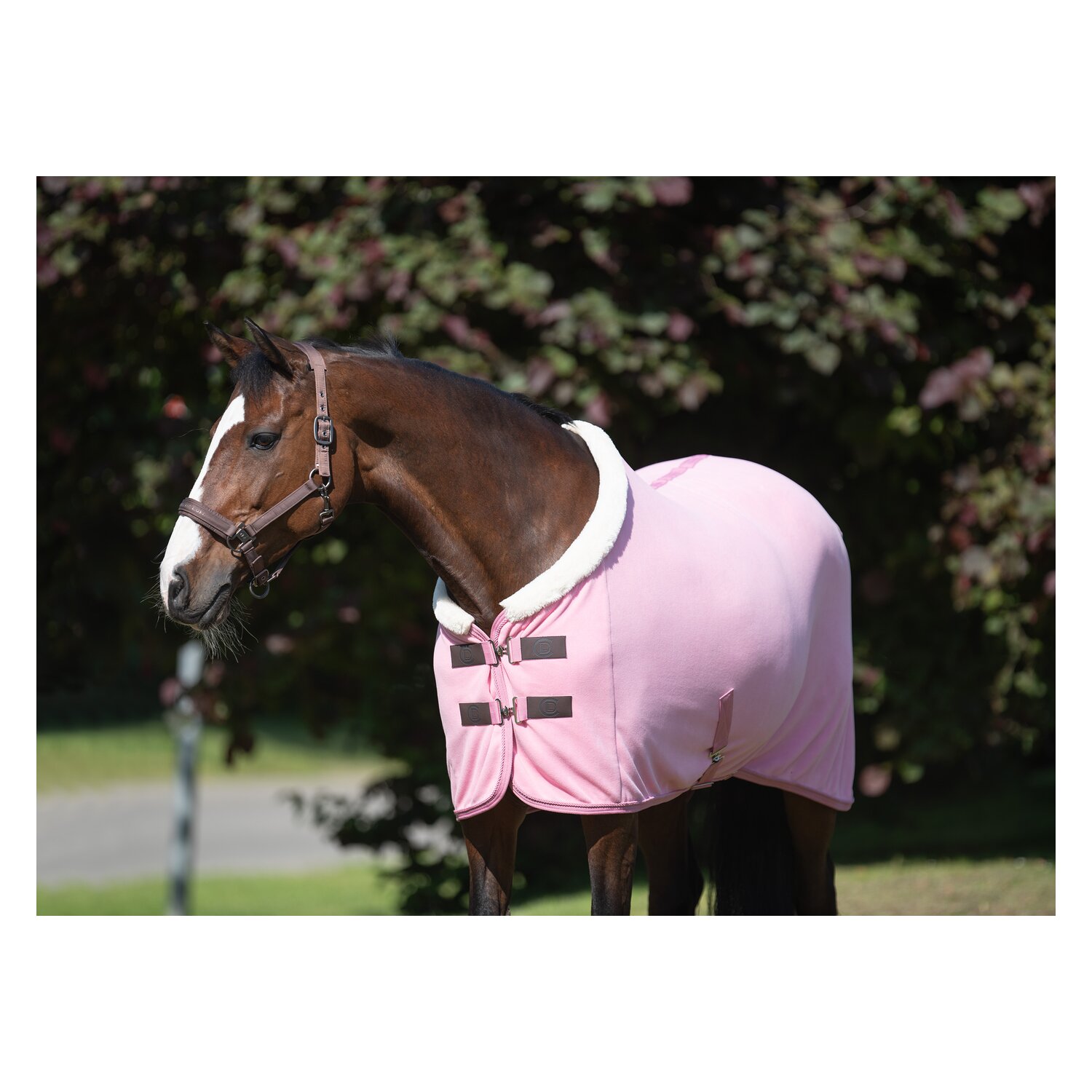 Cheval de Luxe Abschwitzdecke La Rochelle – Ansicht 3