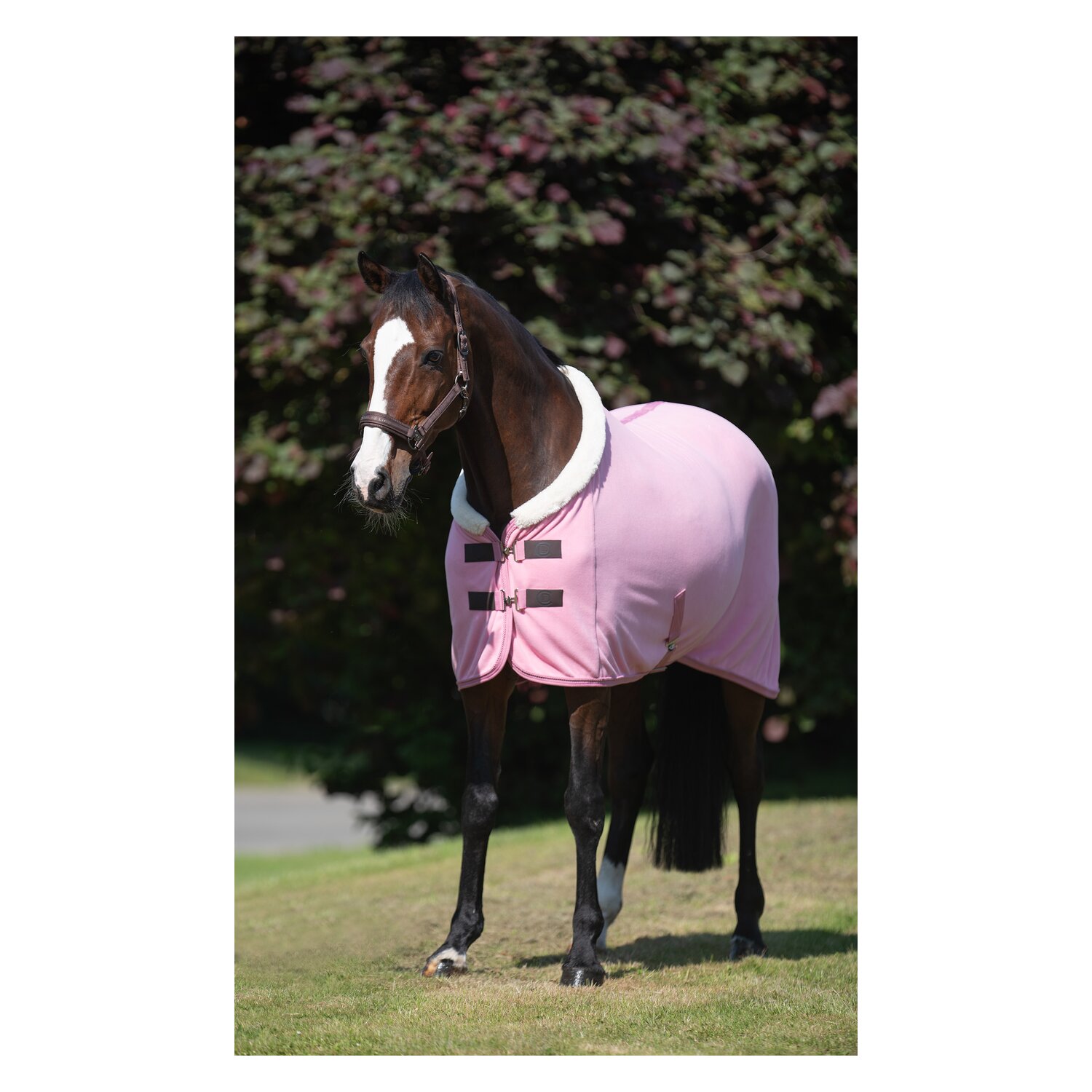 Cheval de Luxe Abschwitzdecke La Rochelle – Ansicht 4