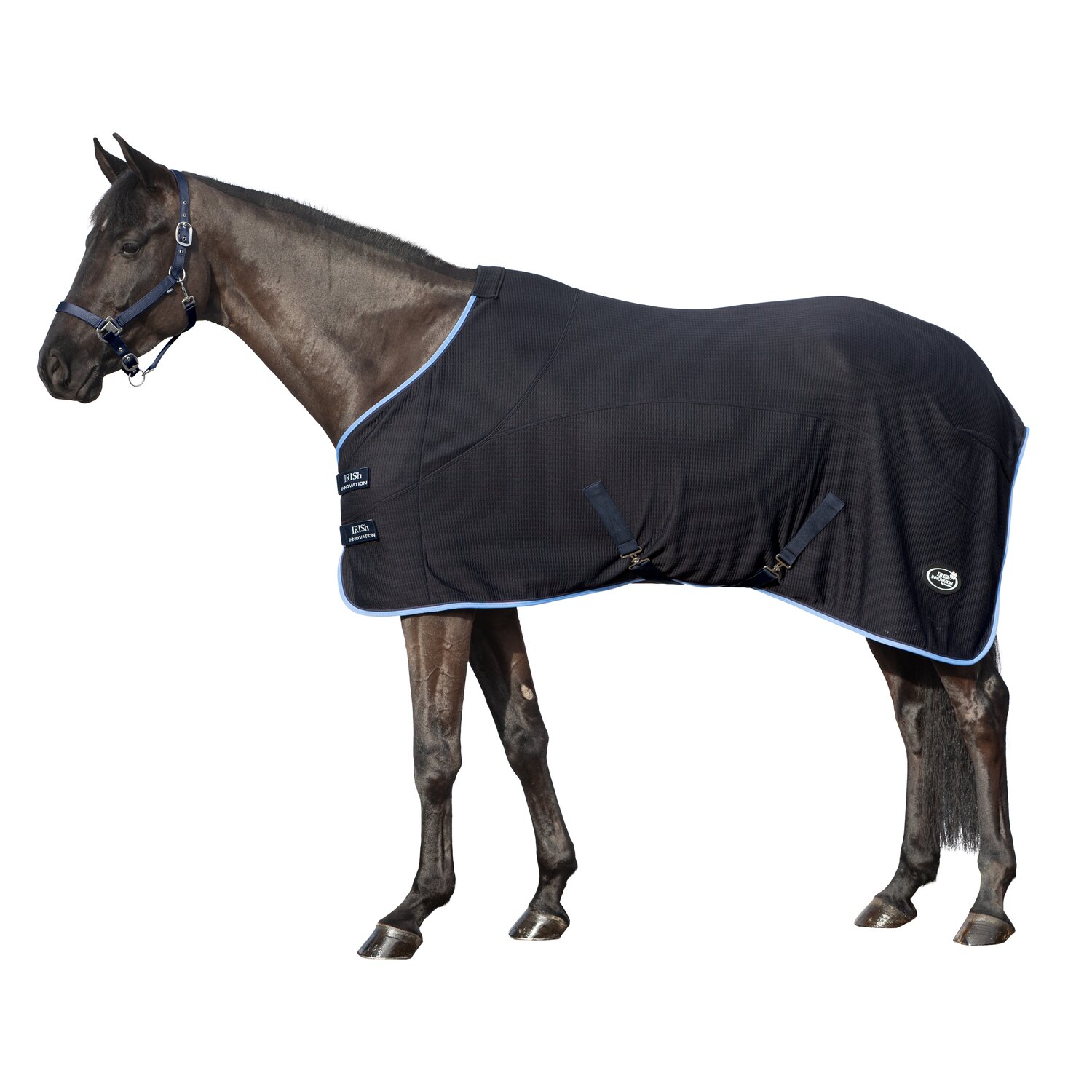 IRISh INNOVATION Abschwitzdecke Bury – Ansicht 1