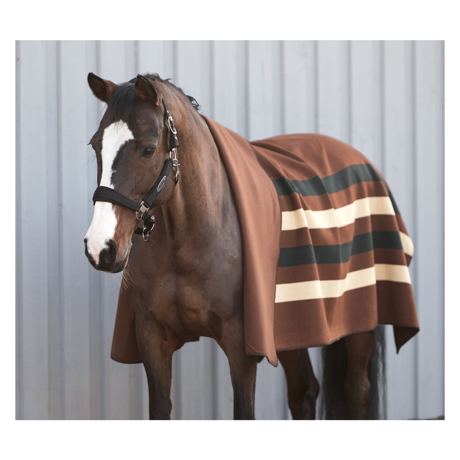 Horse-friends Abschwitzdecke Phönix – Ansicht 3