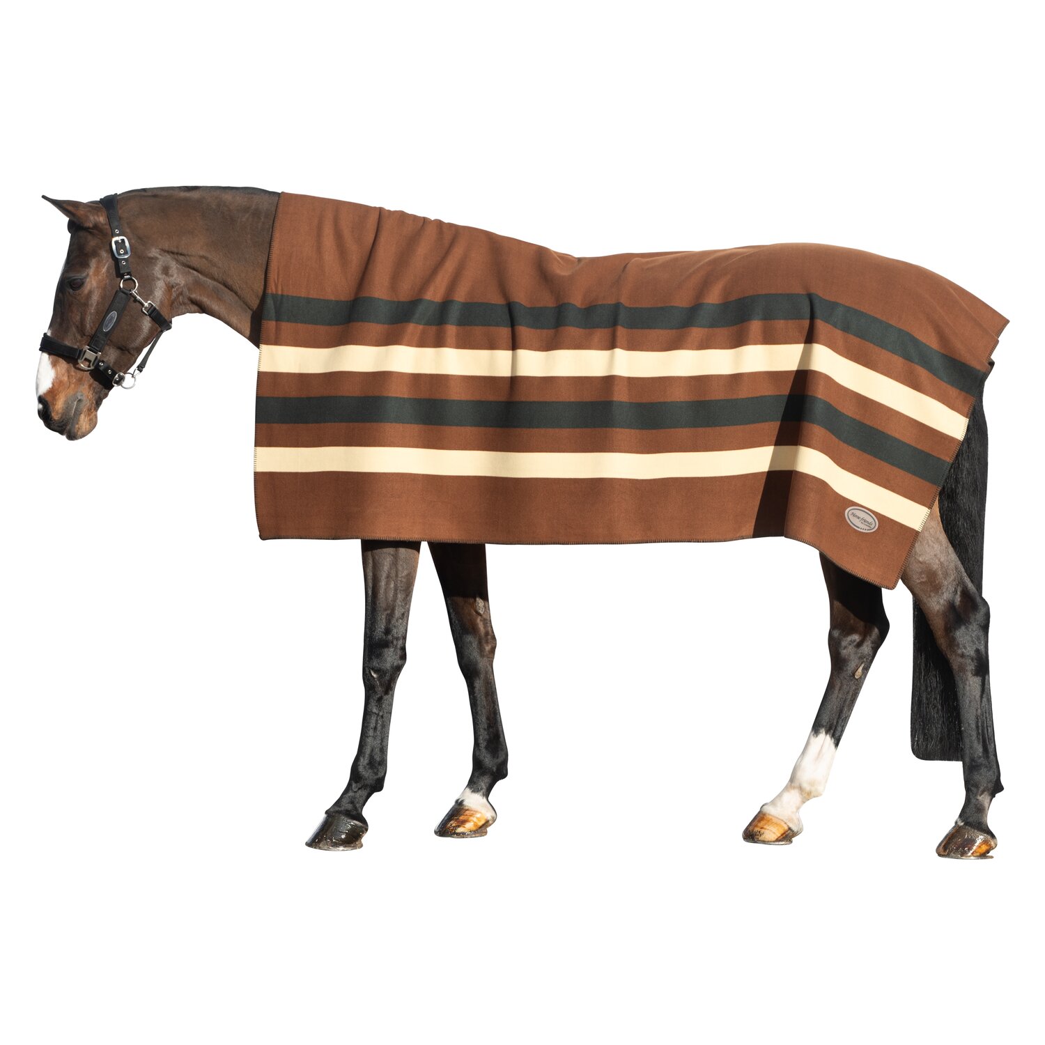 Horse-friends Abschwitzdecke Phönix – Ansicht 1