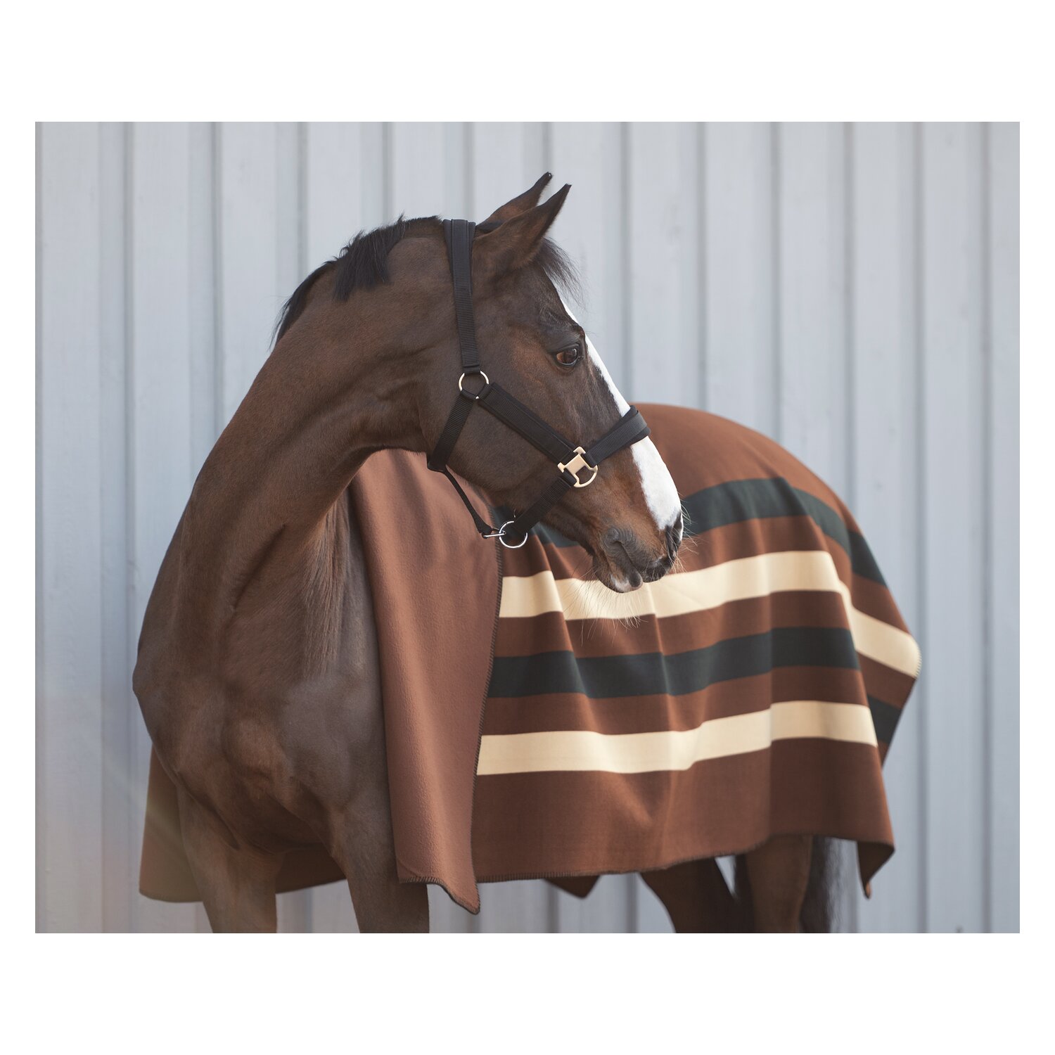 Horse-friends Abschwitzdecke Phönix – Ansicht 4