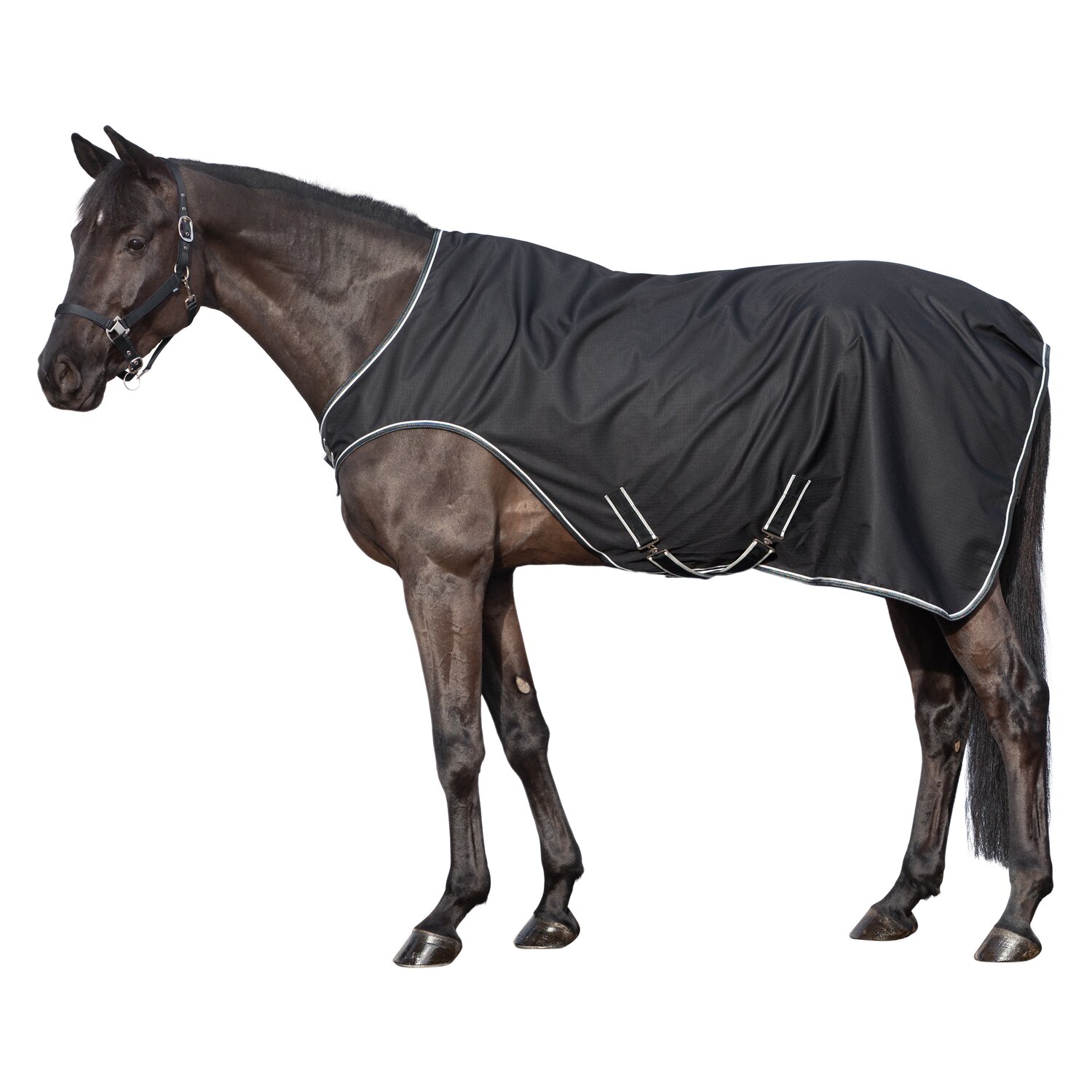 IRISh INNOVATION Bewegungsdecke Oxford – Ansicht 1