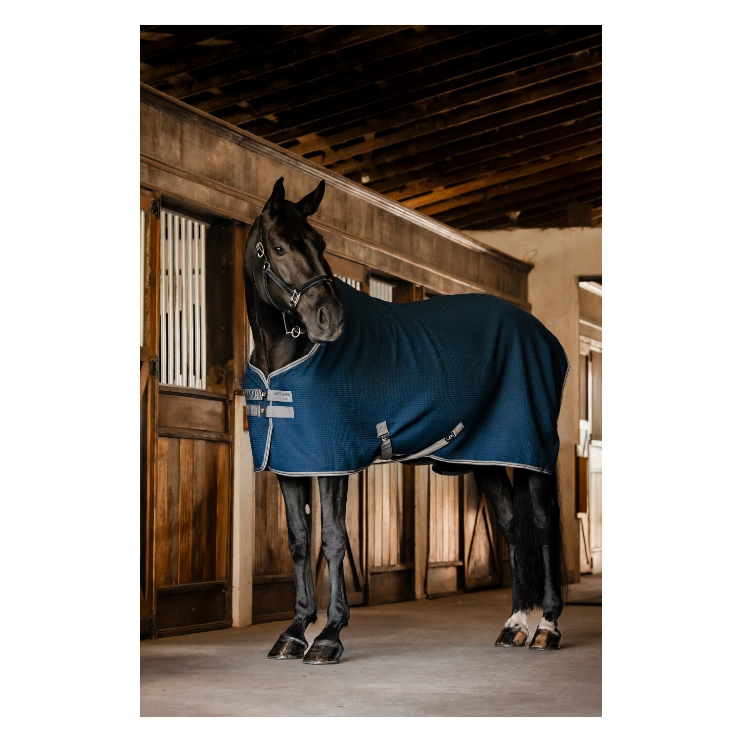 HORSEWARE Abschwitzdecke RAMBO Techni Waffle Cooler – Ansicht 2
