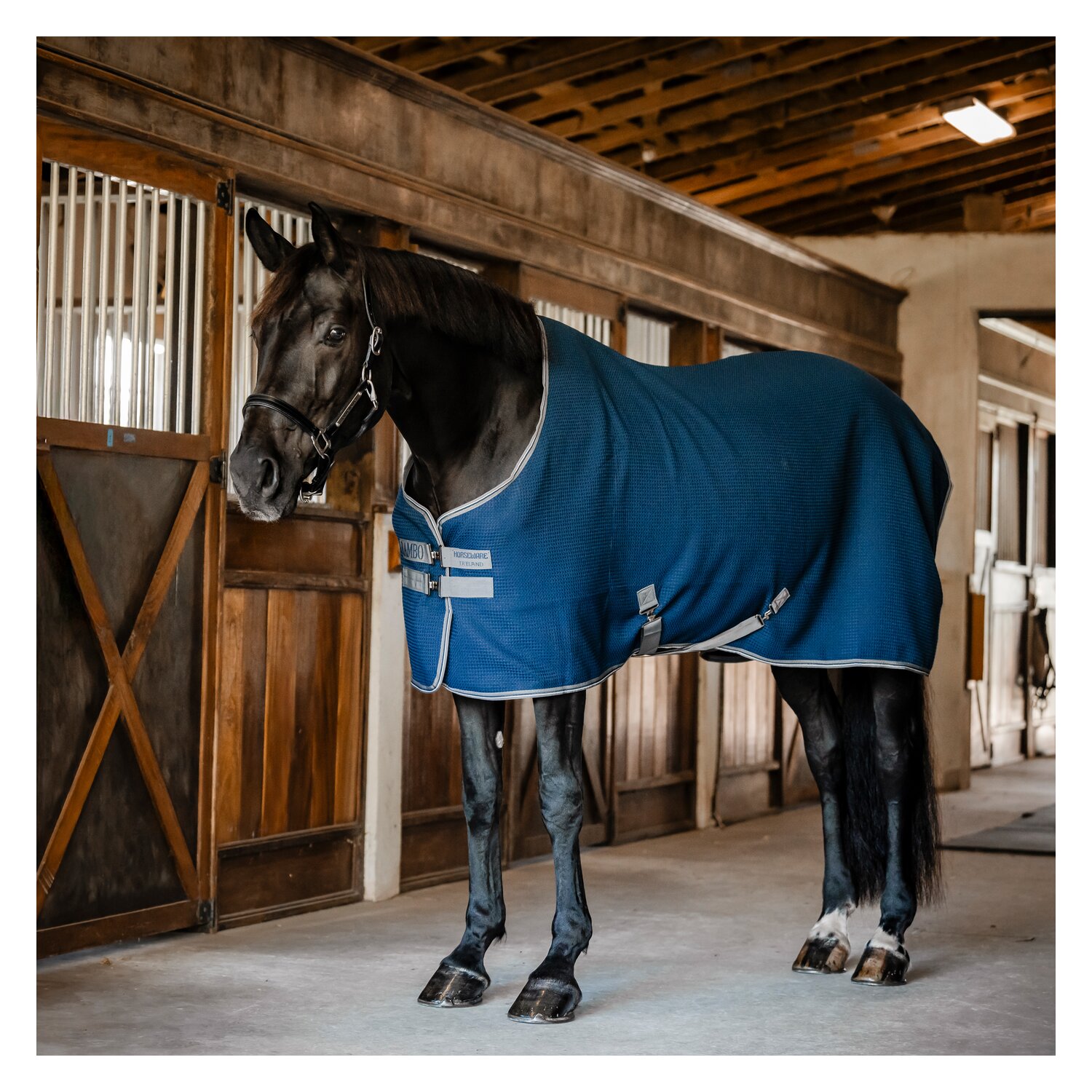 HORSEWARE Abschwitzdecke RAMBO Techni Waffle Cooler – Ansicht 1