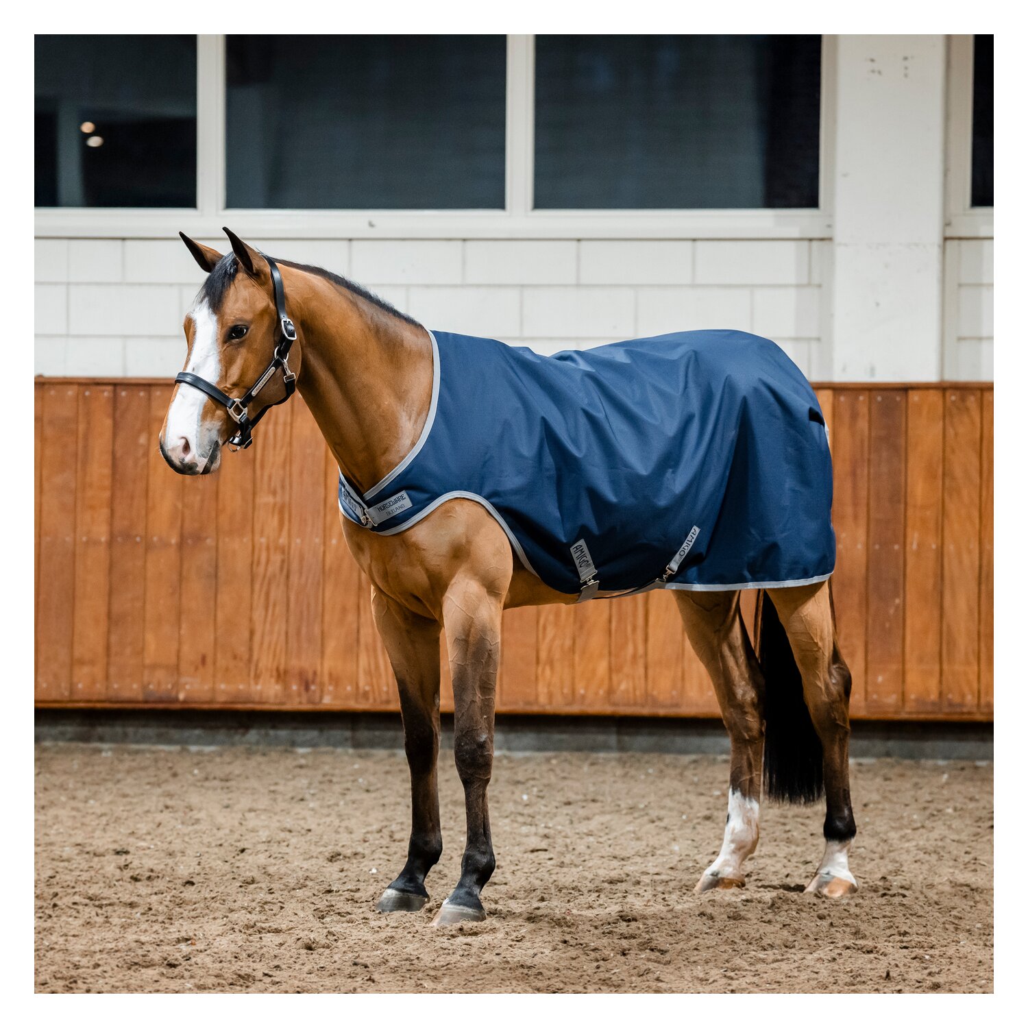 HORSEWARE Trainingsdecke AMIGO Ripstop 900D Walker Rug – Ansicht 1