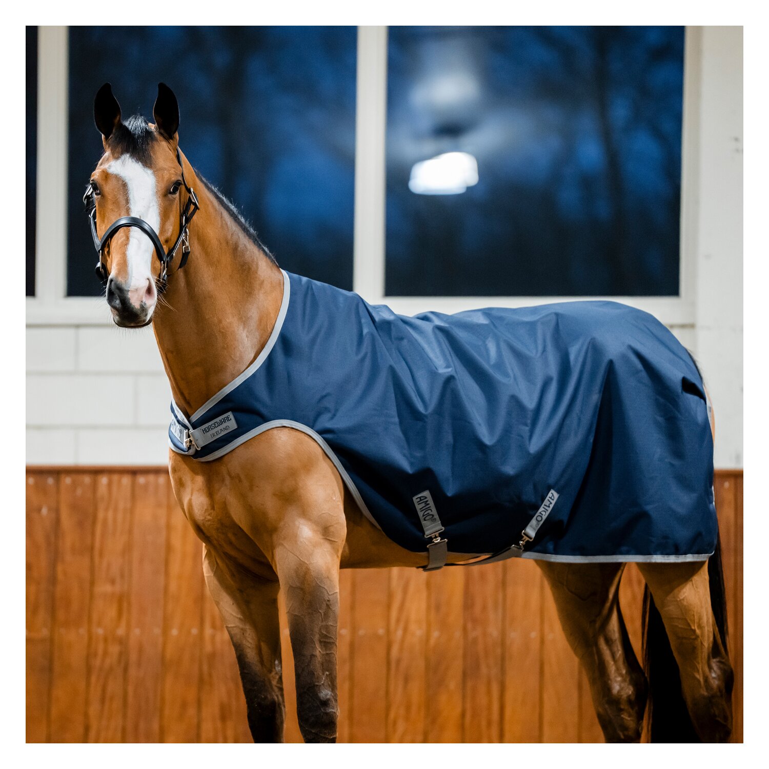 HORSEWARE Trainingsdecke AMIGO Ripstop 900D Walker Rug – Ansicht 3