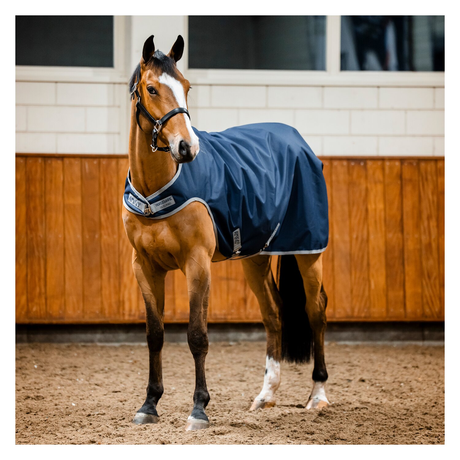 HORSEWARE Trainingsdecke AMIGO Ripstop 900D Walker Rug – Ansicht 4