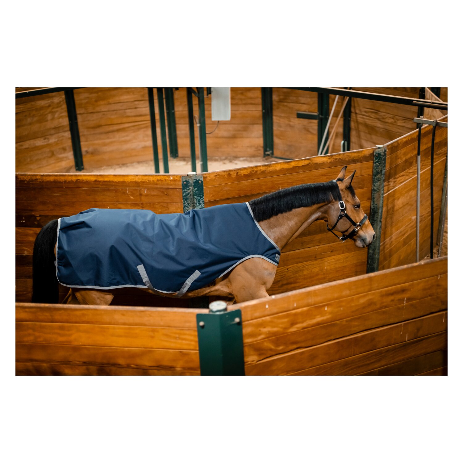 HORSEWARE Trainingsdecke AMIGO Ripstop 900D Walker Rug – Ansicht 5