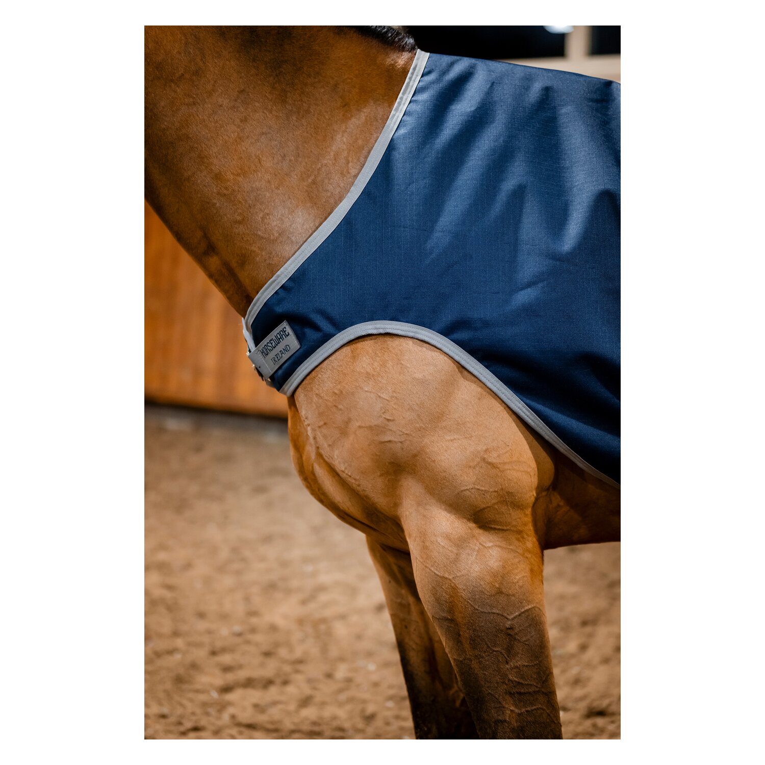 HORSEWARE Trainingsdecke AMIGO Ripstop 900D Walker Rug – Ansicht 7